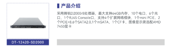 DT-12420-SD2000騰銳D2000/8北京工控機